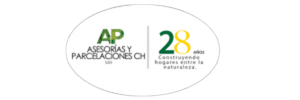 Logo Palo Alto