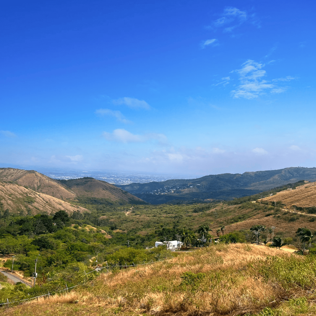 Vista natural del proyecto campestre