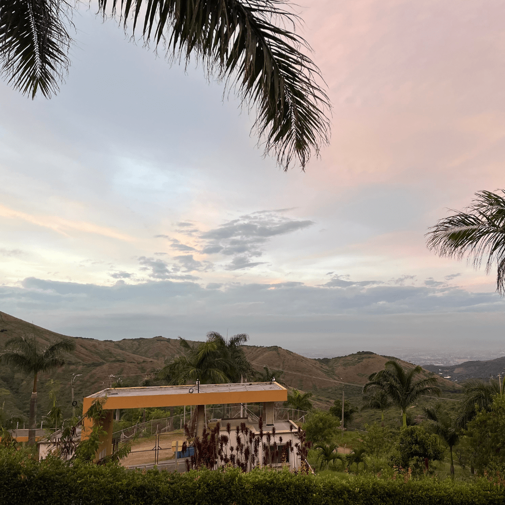 Vista panorámica de lotes campestres