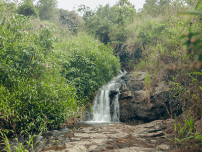 Cascada natural