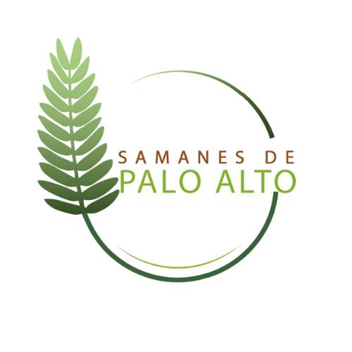 Logo Samanes de Palo Alto